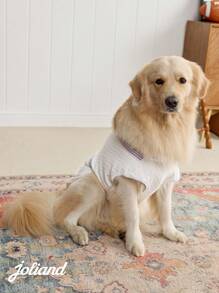 PETSIN V-Neck Knitted Pet Vest, Suitable For Cats And Dogs, Collegiate Style - Multicolor - View 3