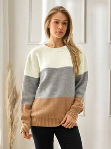 SHEIN Tall 高码女式休闲宽松圆领拼色百搭秋季毛衣商务休闲女式，假日乡村上衣 - 彩色 - 查看 1