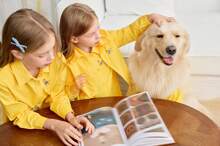 PETSIN 1件姜黄色宠物猫狗通用衬衫