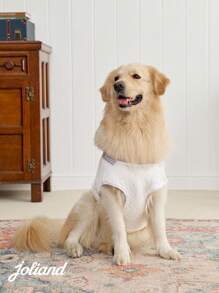 PETSIN V-Neck Knitted Pet Vest, Suitable For Cats And Dogs, Collegiate Style - Multicolor - View 5