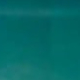 trắng