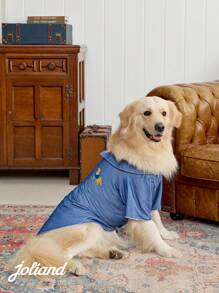 PETSIN 1pc Denim Blue Pet Cat And Dog Shirt