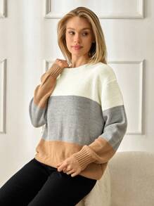 SHEIN Tall 高码女式休闲宽松圆领拼色百搭秋季毛衣商务休闲女式，假日乡村上衣 - 彩色 - 查看 3