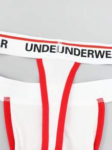 SHEIN DrisQ 男士撞色字母印花性感比基尼内裤 - 白色 - 查看 5