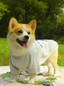 1pc Pet Dog/Cat Clothes, Cute Bear Design, Made Of Spun Rayon, Suitable For Small And Medium Breed Dogs - Multicolor - View 4