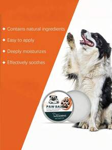 3 st tassbalsam för hundar - Återfuktande fotkräm för husdjur | Salva med naturliga ingredienser - Multifärgad - Visa 3