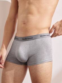 10入組男士字母腰帶方剪內褲