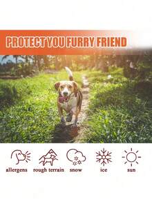 3pcs Pet Paw Balm, 30ml Animal Cat Dog Paw Care Foot Pad Protection Moisturizing Cream - Orange - View 5