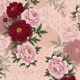 Rosa chiclete