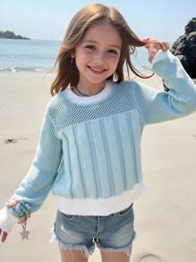 Minimalist Crew Neck Loose Cable Knit Long Sleeve Sweater For Everyday Wear, Autumn/Winter Pastel Sweater Blue And White Sweater - Blue - View 1