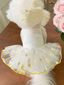 Pet Dresses For Daily Wear