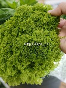 300g/40g/30g Premium Artificial Moss Lawn | Realistic Fake Moss Mat For Miniature Landscape & Model Scenery | DIY Green Plant Ground Cover | Terrarium Decor | Fairy Garden Supplies | Potted Plant Top Dressing | Window Sill Decoration | Creative Landscape Design Projects