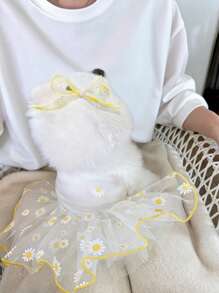 Pet Dresses For Daily Wear