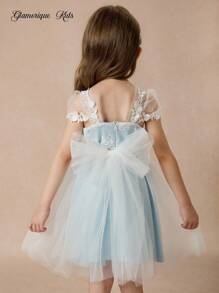 Glamorique Kids Young Girl Lace Embroidered Mesh Dress, Suitable For Party, Dinner, Displaying Luxury, Elegant And Look Light Blue Flower Girl Dress Little Girl Light Blue Dress Lace Flower Girl Dress Baby Blue Dress Lace Dress