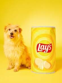 Lay's X SHEIN 1 件脆脆薯片隧道宠物床、猫玩具、狗玩具、趣味 - 黃色 - 查看 3