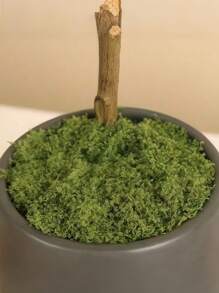 300g/40g/30g Premium Artificial Moss Lawn | Realistic Fake Moss Mat For Miniature Landscape & Model Scenery | DIY Green Plant Ground Cover | Terrarium Decor | Fairy Garden Supplies | Potted Plant Top Dressing | Window Sill Decoration | Creative Landscape Design Projects