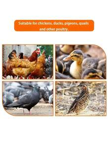 自动饮水机 - 优质 PP 自停式家禽饮水机 - 易于安装，适用于家禽、鸭子和鸟类（带钻） - 彩色 - 查看 8