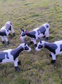 1/2 件大型充气奶牛充气农场动物模型，生日派对装饰充气动物礼物，适用于农场、生日、室内、户外派对道具、玩具和用品 - 牛 - 查看 4