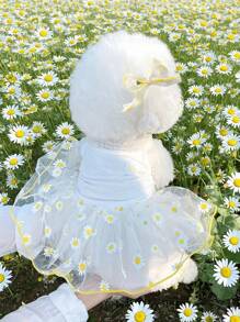 Pet Dresses For Daily Wear