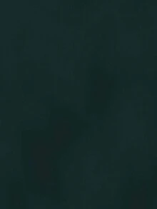 EURMUSE 100%Cotton Men's Hooded Sweatshirt With Pocket And Drawstring - Dark Green - View 5