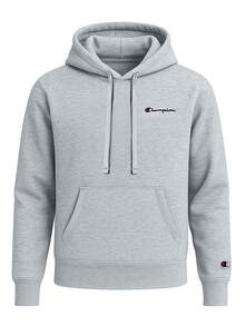 Champion Men Hoodies - Grey - View 4