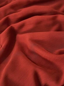 Zivah 2025夏季新款，适合生日派对、返校、校园风、学生装、日常出行、百搭基础款、休闲、度假、邮轮旅行、海滩、日光浴、时尚、街头风、优雅、通勤、商务休闲等场合。圆领长袖，正面荷叶边装饰，喇叭袖，砖红色竖条纹纹理面料，前片有衬里，半透明材质，女士夏季衬衫。 - 紅木色 - 查看 8