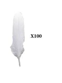 30/50/100pcs  White-Color Natural Feathers, Versatile For Wedding And Party Decorations - White - View 6