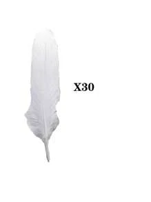 30/50/100pcs  White-Color Natural Feathers, Versatile For Wedding And Party Decorations - White - View 8