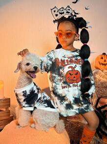 PETSIN Pet Halloween Pumpkin Spider 1 Piece - Multicolor - View 9
