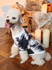 PETSIN Pet Halloween Pumpkin Spider 1 Piece - Multicolor - View 7