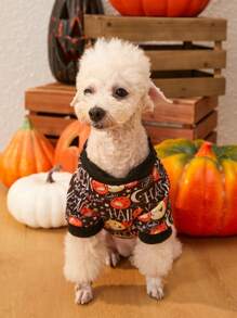 PETSIN 1 Stück Haustier Halloween Kürbis Schädel Kopflos Hoodie