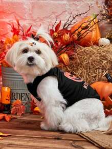 PETSIN Áo ba lỗ cho chó mèo cưng 1 mảnh phong cách Halloween họa tiết bí ngô đen cười thoáng khí nhẹ, dành cho tiệc Halloween - Nhiều màu - Xem 7