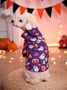 Sudaderas para Mascotas