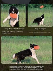 PETSIN Pet Interactive Training Toy, Suitable For Dogs, TPR Non-Tooth-Harming Throwing Training Toy, Pet Toy, Pet Supplies