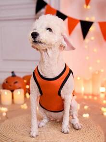 PETSIN Wansheng Style Orange Pumpkin Smiling Face Pattern Cat And Dog Wearable Tank New Item, For Halloween Party