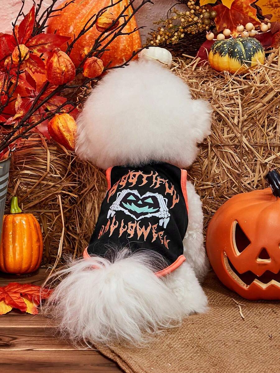 PETSIN Halloween Pet Vest – Orange Skull Print Lightweight Breathable Sleeveless Costume For Dogs And Cats, Perfect Festive Apparel For Halloween Parties, Trick Or Treat, And Seasonal Photoshoots - Multicolor - View 1