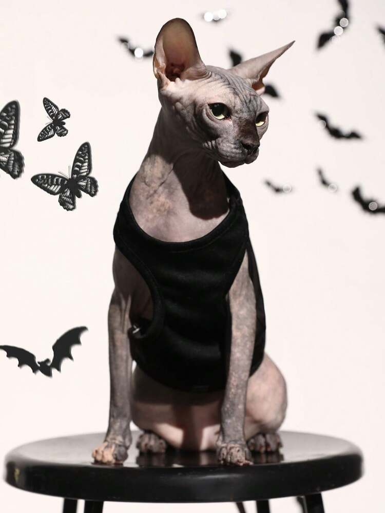 PETSIN 1 件万圣节宠物背心 - 彩色 - 查看 6