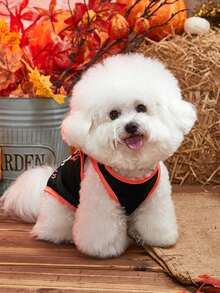 PETSIN Halloween Pet Vest – Orange Skull Print Lightweight Breathable Sleeveless Costume For Dogs And Cats, Perfect Festive Apparel For Halloween Parties, Trick Or Treat, And Seasonal Photoshoots - Multicolor - View 2