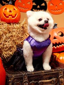 PETSIN 1pc Pet Halloween Purple Sleeveless Velvet Star Foil Print Mesh Tutu Dress With Cute Letter Print For Cats & Dogs - Multicolor - View 3