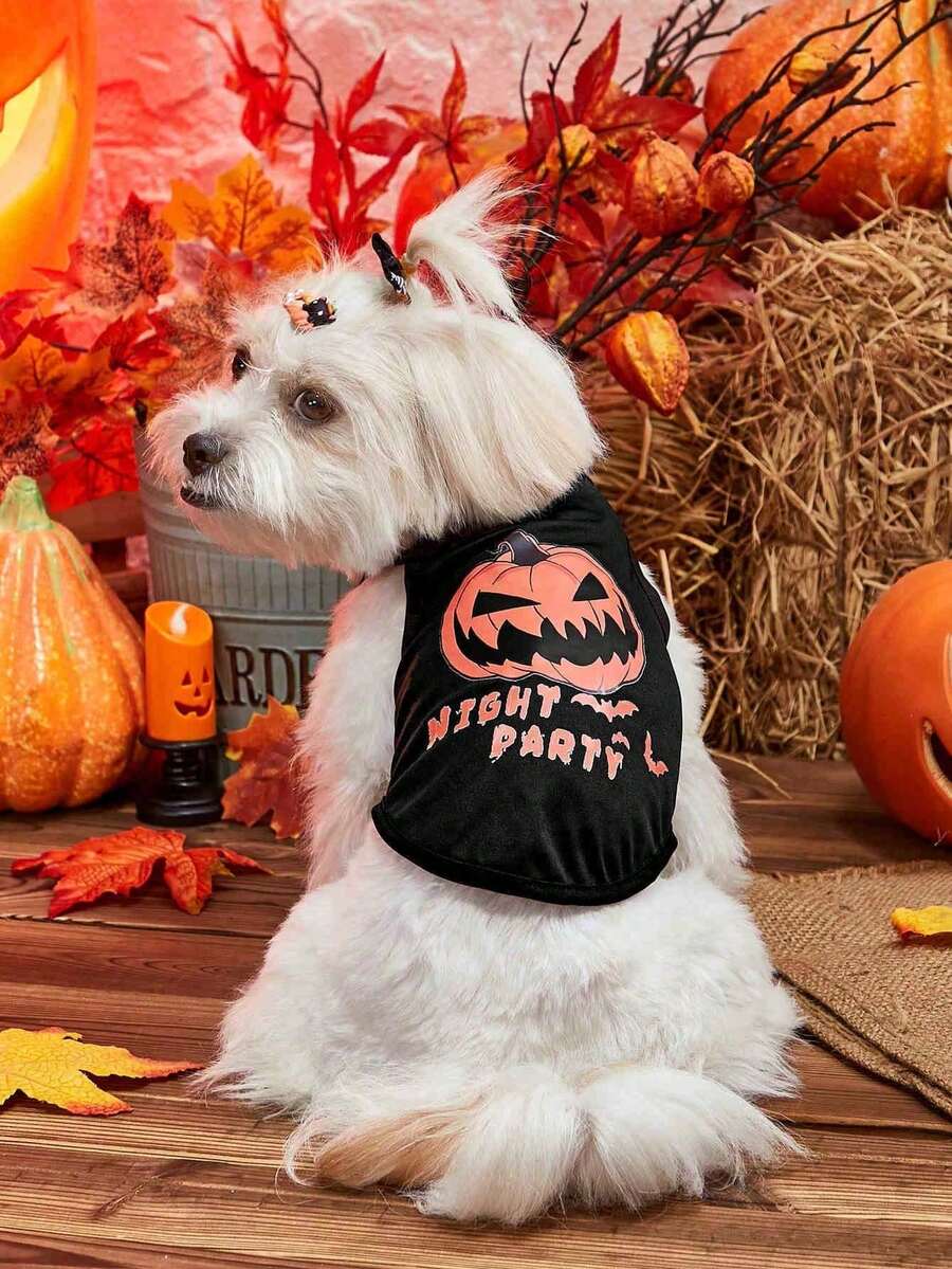 PETSIN Áo ba lỗ cho chó mèo cưng 1 mảnh phong cách Halloween họa tiết bí ngô đen cười thoáng khí nhẹ, dành cho tiệc Halloween - Nhiều màu - Xem 1