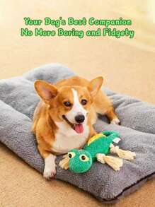 PETSIN 1 件狗狗说话玩具 - 耐用咀嚼玩具，鳄鱼、恐龙、蜥蜴玩偶，自娱自乐和缓解无聊的设备，狗玩具宠物用品，宠物玩具 - 彩色 - 查看 4