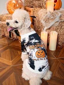 PETSIN Pet Halloween Pumpkin Spider 1 Piece - Multicolor - View 5