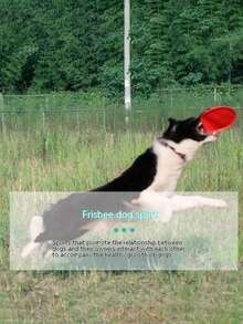 PETSIN Pet Interactive Training Toy, Suitable For Dogs, TPR Non-Tooth-Harming Throwing Training Toy, Pet Toy, Pet Supplies