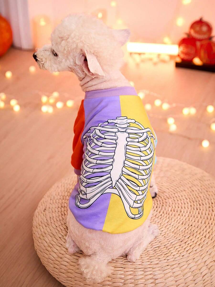 PETSIN 1 Pc Halloween Skull Printed Red, Blue, Purple, Yellow Contrasting Cute Cat And Dog Pet Headless Printed - Multicolor - View 1
