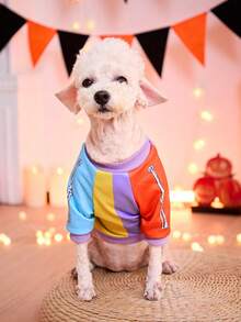 PETSIN 1 Pc Halloween Skull Printed Red, Blue, Purple, Yellow Contrasting Cute Cat And Dog Pet Headless Printed - Multicolor - View 4