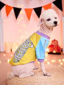 PETSIN 1 Pc Halloween Skull Printed Red, Blue, Purple, Yellow Contrasting Cute Cat And Dog Pet Headless Printed - Multicolor - View 3