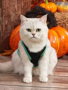 PETSIN 1pc Halloween Pet Costume Vest – Lightweight And Breathable Sleeveless Outfit For Cats And Dogs, Spooky & Festive Apparel Perfect For Halloween Parties, Trick Or Treat, Photoshoots, And Everyday Wear - Multicolor - View 4