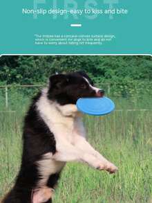 PETSIN Pet Interactive Training Toy, Suitable For Dogs, TPR Non-Tooth-Harming Throwing Training Toy, Pet Toy, Pet Supplies