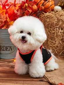 PETSIN Halloween Pet Vest – Orange Skull Print Lightweight Breathable Sleeveless Costume For Dogs And Cats, Perfect Festive Apparel For Halloween Parties, Trick Or Treat, And Seasonal Photoshoots - Multicolor - View 5