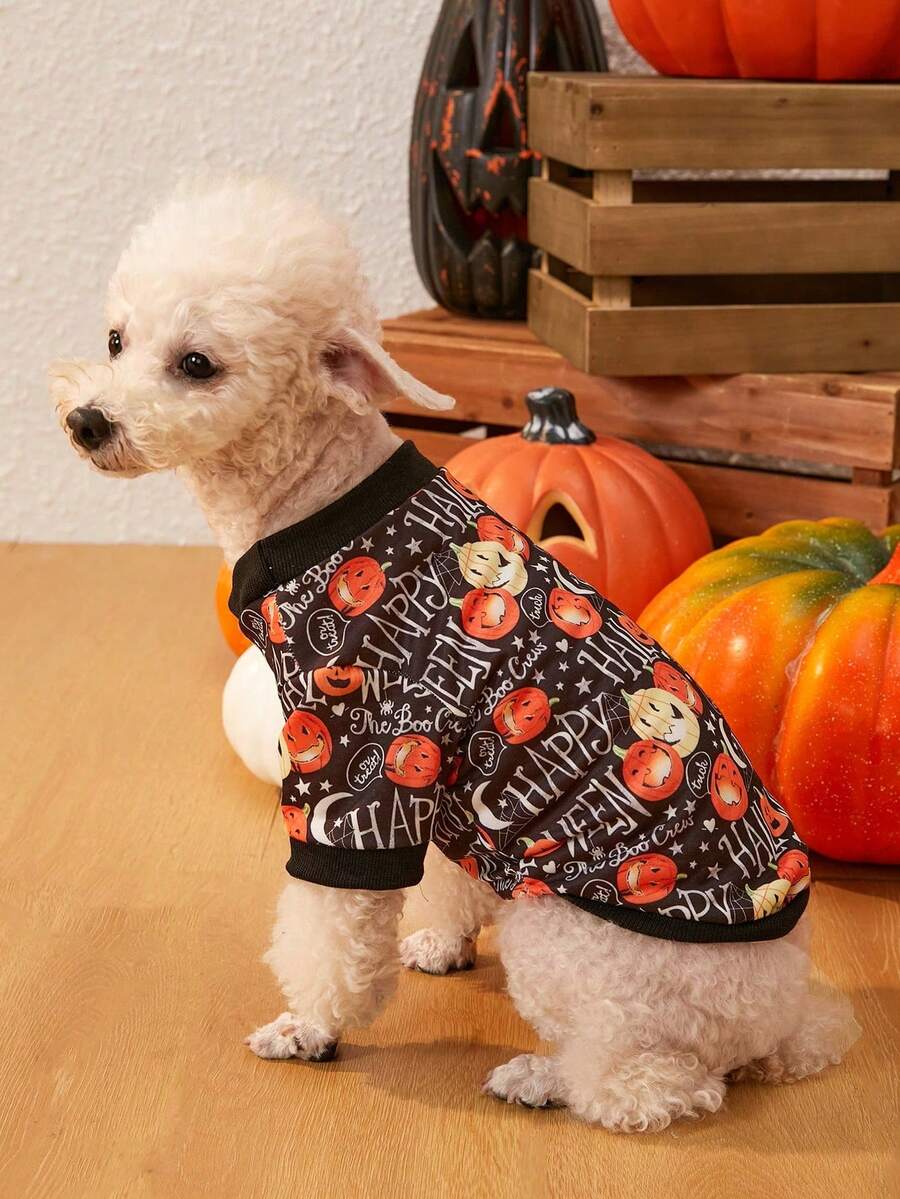 PETSIN Pet Halloween Pumpkin Skull Headless 1 Piece - Multicolor - View 1
